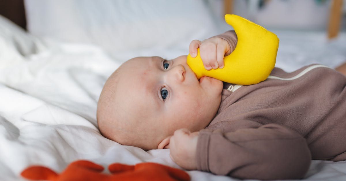 entdecken sie die besten tipps zur pflege von stofftieren! erfahren sie, wie sie ihre kuscheltiere reinigen, reparieren und aufbewahren können, damit sie immer frisch und für viele abenteuer bereit sind.
