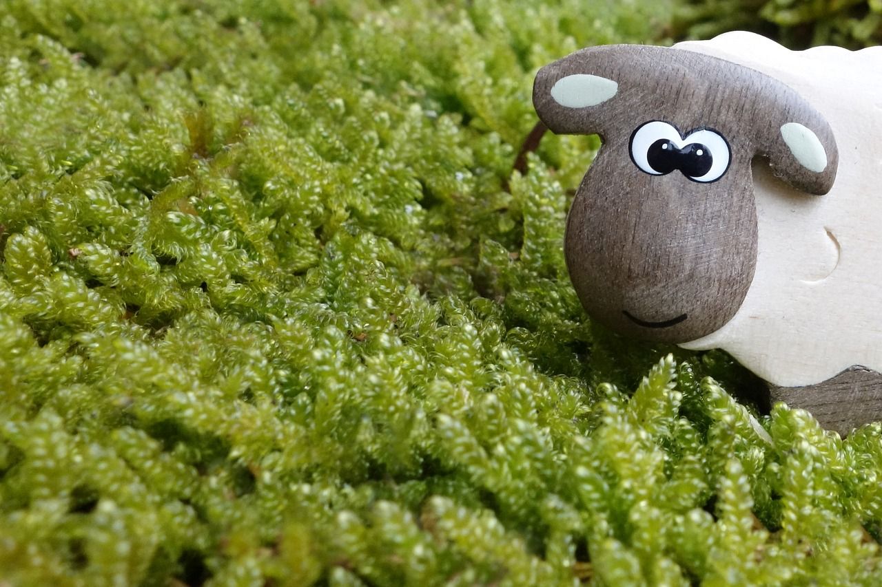 entdecken sie unsere biologisch abbaubaren kuscheltiere, die hohe umweltstandards erfüllen und gleichzeitig wundervolle begleiter für kinder sind. sorgfältig aus nachhaltigen materialien hergestellt, kombinieren sie sicherheit, weichheit und liebe zur natur.