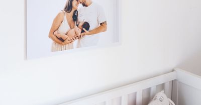 Die Top-Kuscheltier-Marken und ihre Neuheiten im Jahr 2025