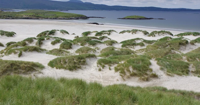 Strand, Watt und Natur mit Kindern
