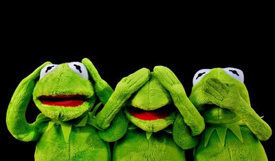 limitierte kuscheltiere 2025: warum sie so begehrt sind und wie du seltene exemplare findest