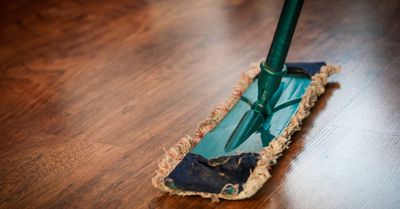 Reinigung von Kuscheltieren: Welche Methoden sind effektiv?
