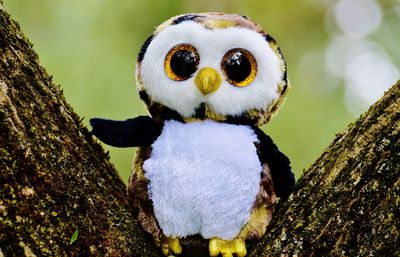 Was sind die besten Kuscheltiere für Kinder im Jahr 2025?