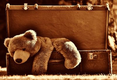 Wie wähle ich den perfekten Teddy für mein Kind aus?