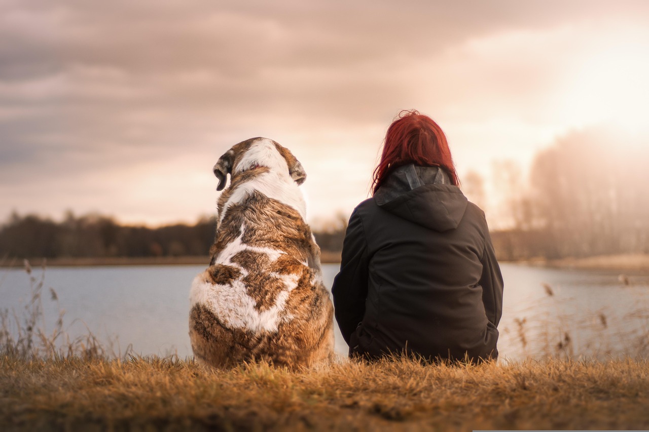 entdecken sie den perfekten kuschelfreund! unsere herzlichen, weichen und bezaubernden plüschbegleiter bringen freude und komfort in ihr zuhause. ideal für kinder und erwachsene – ein freund fürs leben!