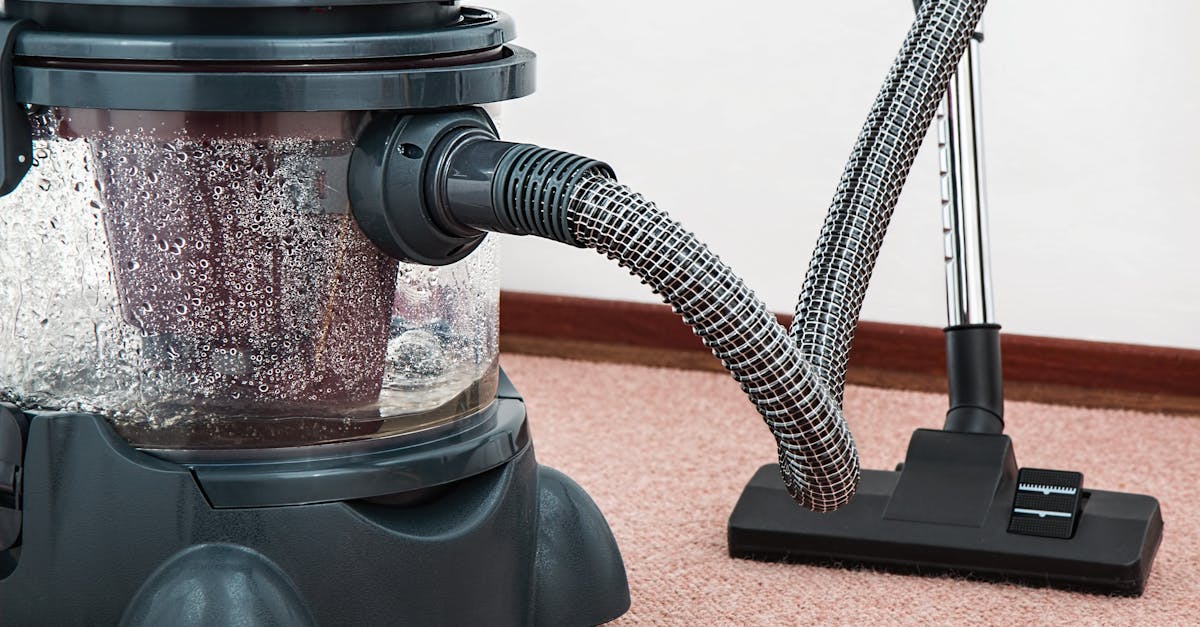 professionelle reinigungsdienstleistungen für ihr zuhause und büro. genießen sie eine saubere und hygienische umgebung mit unseren maßgeschneiderten reinigungslösungen.