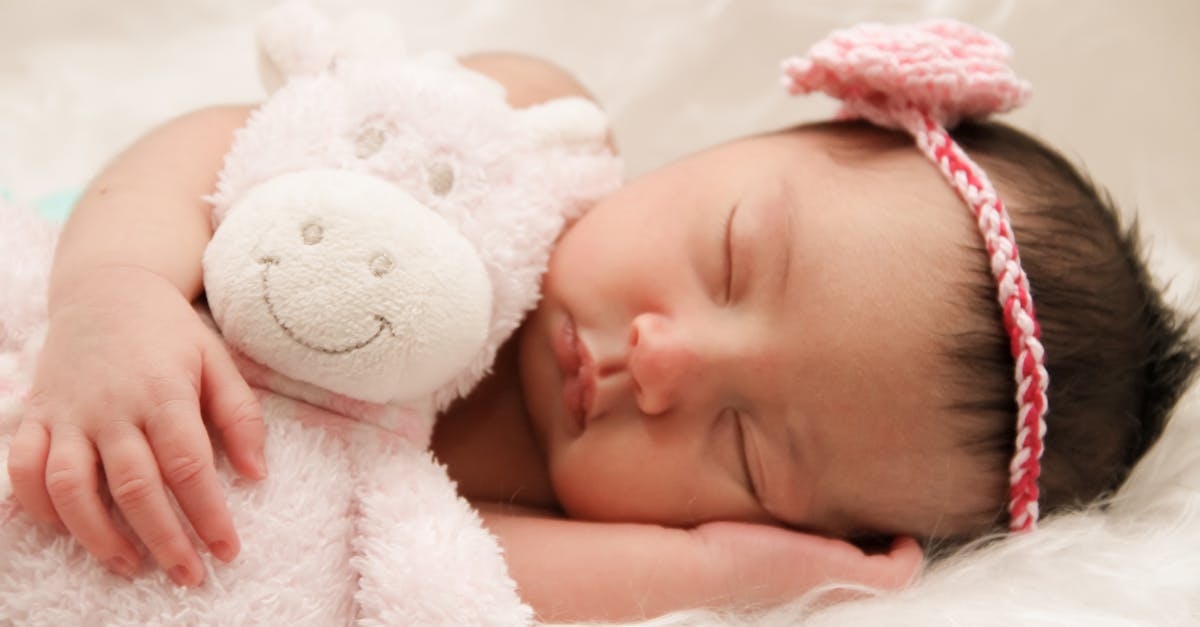 entdecken sie unser hochwertiges plüschtier-sortiment! weiche und kuschelige begleiter für kinder und erwachsene, ideal als geschenk oder zum spielen. bringen sie freude und farbe in ihr zuhause mit unseren liebevoll gestalteten plüschtieren.