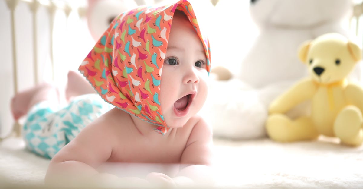 entdecken sie unsere weichen und kuscheligen plüschtiere, die perfekten begleiter für kinder und erwachsene. ideal zum spielen, kuscheln oder sammeln - unsere auswahl an hochwertigen plüschtieren begeistert jung und alt!