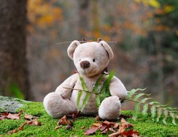 entdecken sie die bezaubernde welt der stofftiere! unsere hochwertigen, kuscheligen freunde sind perfekt für kinder und sammler. jedes stofftier bietet sicherheit, komfort und unendlichen spaß. erkunden sie die vielfalt und finden sie das perfekte kuscheltier für jeden anlass!