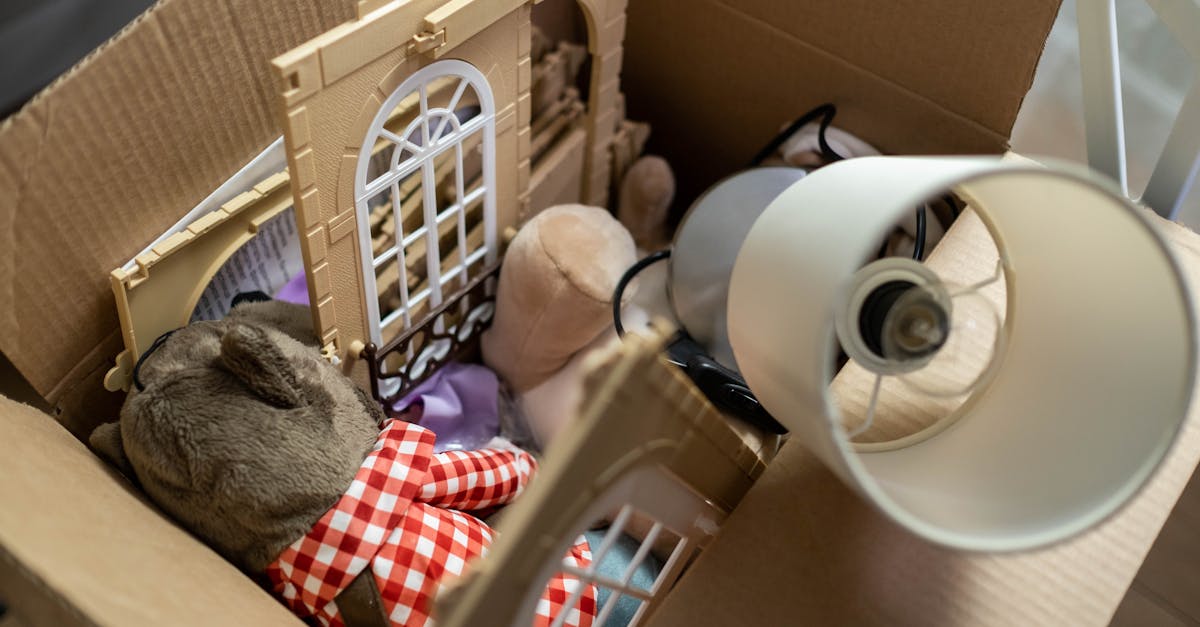 entdecken sie unsere zauberhafte auswahl an plüschtieren – perfekte begleiter für kinder und sammler. hochwertige materialien und liebevolle designs sorgen für kuscheltier-spaß für groß und klein!