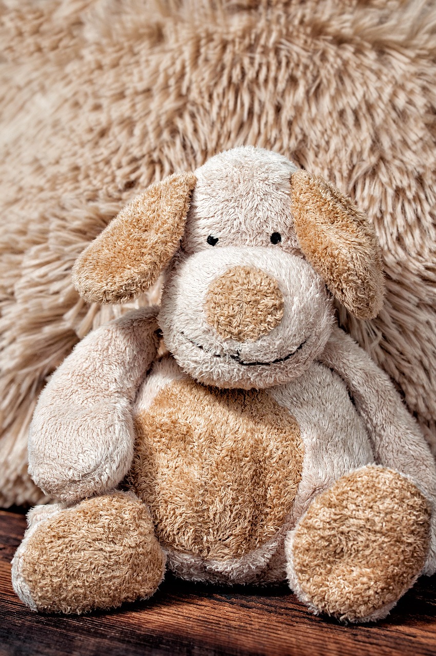 entdecken sie die bezaubernde teddy bear parade, ein unvergessliches fest voller liebevoller teddybären, spannender aktivitäten und fröhlicher stimmung. erleben sie magische momente für die ganze familie!