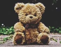 erleben sie die zauberhafte teddy bear parade, ein unvergessliches ereignis für die ganze familie! entdecken sie eine bunte vielfalt an stofftieren und genießen sie die festliche atmosphäre voller freude und spaß.