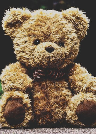 erleben sie die zauberhafte teddy bear parade, ein unvergessliches ereignis für die ganze familie! entdecken sie eine bunte vielfalt an stofftieren und genießen sie die festliche atmosphäre voller freude und spaß.