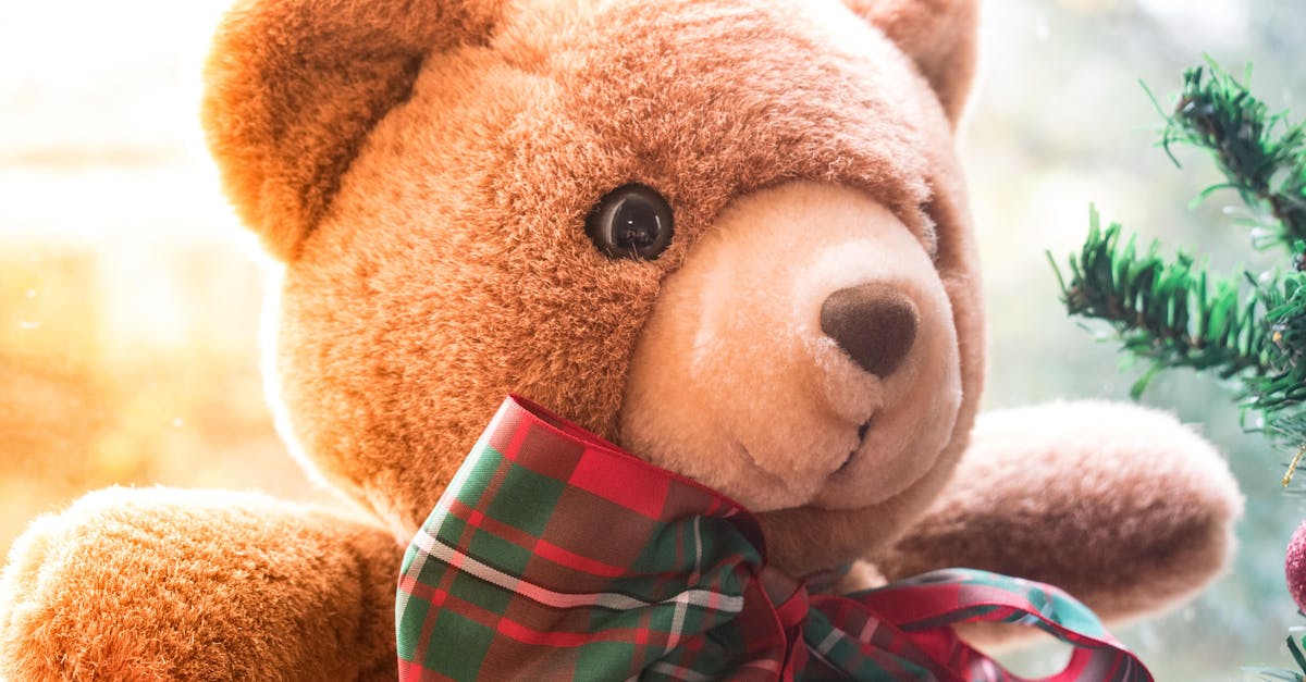entdecken sie unsere kuscheligen familienspielzeuge aus plüsch! ideal für alle altersgruppen, bieten sie komfort und freude beim spielen. perfekt für gemeinsame momente mit der familie.