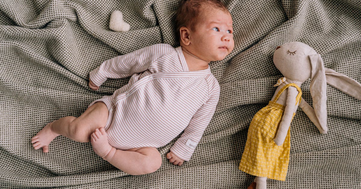 entdecken sie die besten tipps zur pflege von plüschtieren! erfahren sie, wie sie ihre kuscheltiere reinigen, lagern und liebevoll behandeln, damit sie lange freude bereiten.