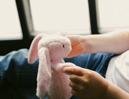 erfahren sie, wie sie ihre stofftiere richtig pflegen und in einwandfreiem zustand halten können. tipps zur reinigung, aufbewahrung und wiederherstellung ihrer geliebten begleiter.