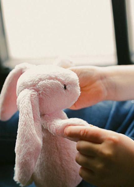 erfahren sie, wie sie ihre stofftiere richtig pflegen und in einwandfreiem zustand halten können. tipps zur reinigung, aufbewahrung und wiederherstellung ihrer geliebten begleiter.