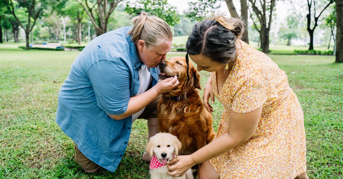 erfahren sie, wie sie ihre stofftiere richtig pflegen und ihnen ein langes, liebevolles leben schenken. tipps zur reinigung, reparatur und aufbewahrung von plüschfreunden.