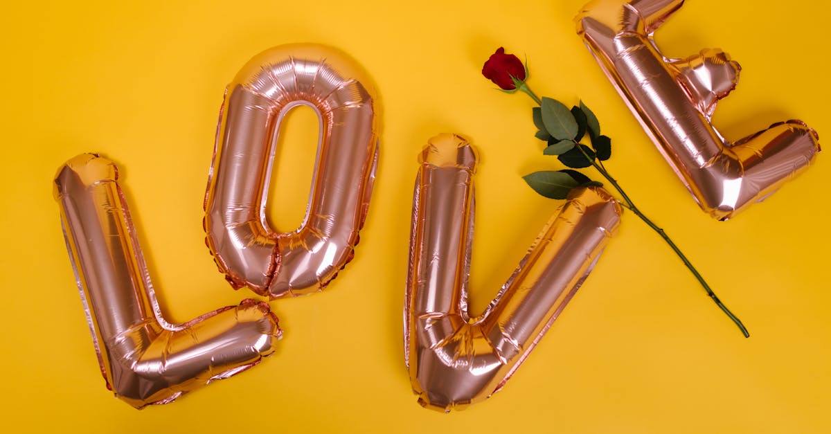 entdecken sie kreative geschenkideen für jeden anlass! ob für geburtstage, hochzeiten oder feiertage – finden sie das perfekte geschenk für ihre liebsten und überraschen sie sie mit unvergesslichen momenten.