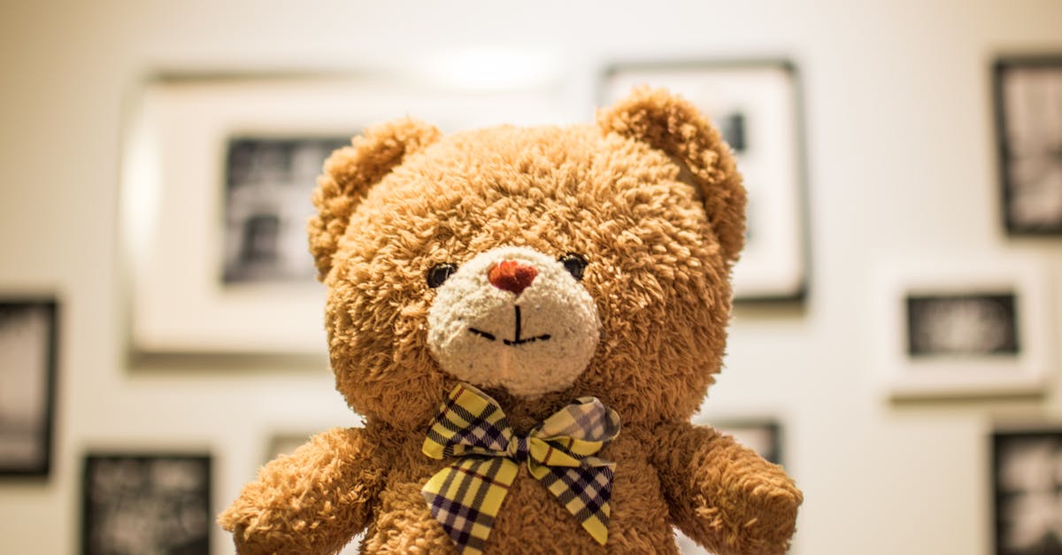 entdecken sie unser sortiment an kuscheligen plüschtieren! unsere hochwertigen stofftiere bringen freude und trost für kinder jeden alters. ideal als geschenk oder zum kuscheln. jetzt stöbern und das perfekte lieblingshaustier finden!