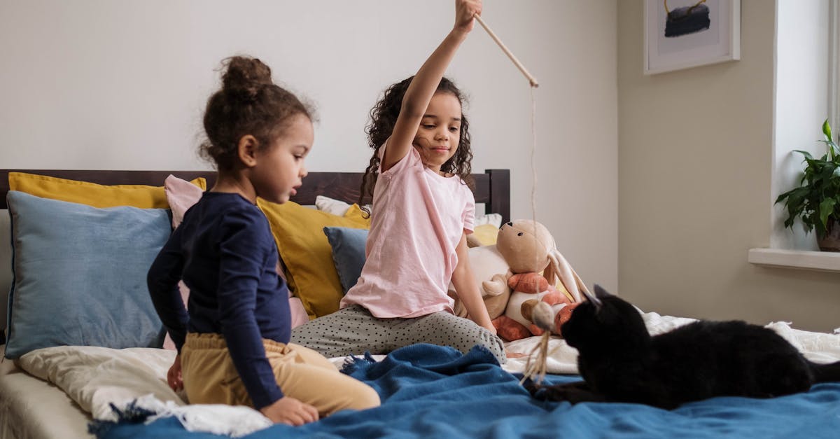entdecken sie unsere große auswahl an hochwertigen plüsch tieren. ideal für kinder und sammler – perfekt zum kuscheln, spielen und verschenken. durchstöbern sie jetzt unsere bezaubernden stofftiere!