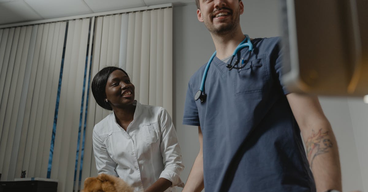 entdecken sie die besten tipps zur pflege von plüschtieren! erfahren sie, wie sie ihre stofftiere reinigen, aufbewahren und ihre lebensdauer verlängern können.