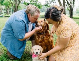 entdecken sie wertvolle tipps zur pflege und wartung ihrer stofftiere, damit sie immer sauber, sicher und in bestem zustand bleiben. ideal für eltern und sammler!