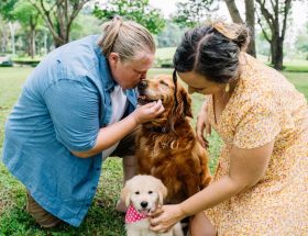 entdecken sie wertvolle tipps zur pflege und wartung ihrer stofftiere, damit sie immer sauber, sicher und in bestem zustand bleiben. ideal für eltern und sammler!