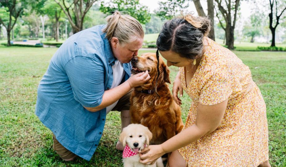 entdecken sie wertvolle tipps zur pflege und wartung ihrer stofftiere, damit sie immer sauber, sicher und in bestem zustand bleiben. ideal für eltern und sammler!