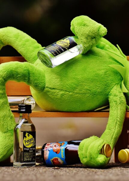 entdecken sie kreative diy-anleitungen für kuschelige stofftiere zum selbermachen – perfekt für geschenke und individuelle spielgefährten.