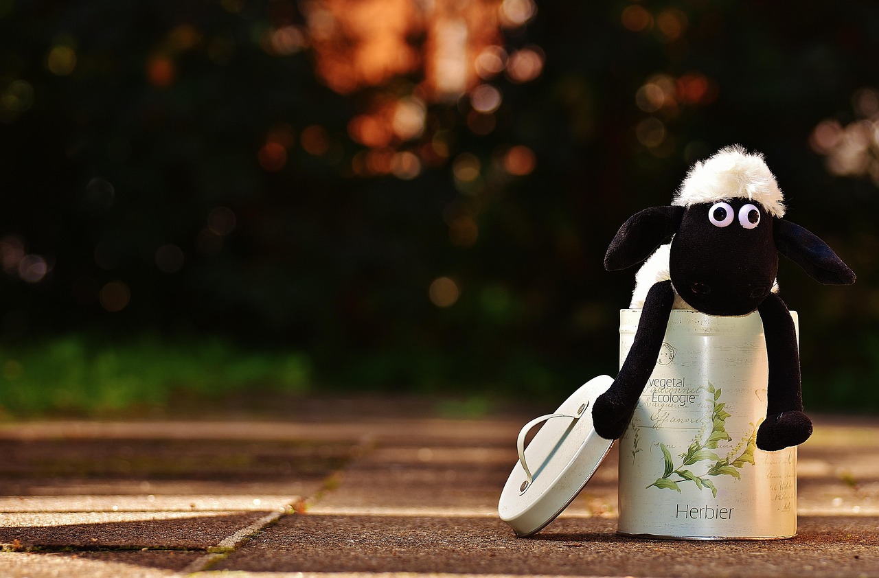 entdecken sie köstliche füllungsrezepte und tipps für perfekte stuffing-gerichte zu jedem anlass.