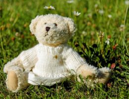 entdecken sie unsere niedlichen plüschtiere, perfekt zum kuscheln und sammeln. hochwertige stofftiere für kinder und sammler jeden alters.