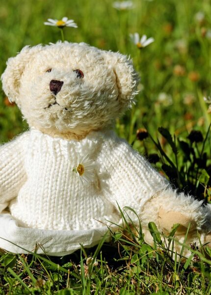 entdecken sie unsere niedlichen pl&uuml;schtiere, perfekt zum kuscheln und sammeln. hochwertige stofftiere f&uuml;r kinder und sammler jeden alters.