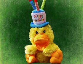 entdecken sie niedliche pl&uuml;schtiere zum geburtstag &ndash; das perfekte geschenk f&uuml;r kinder und sammler, das freude und kuschelspa&szlig; garantiert.