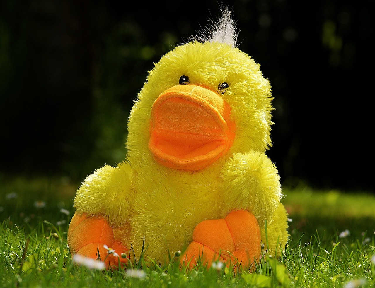 s&uuml;&szlig;es stofftier zum geburtstag &ndash; das perfekte geschenk f&uuml;r kinder und tierliebhaber. entdecken sie unsere kuscheligen pl&uuml;schtiere, ideal zum feiern und liebhaben.