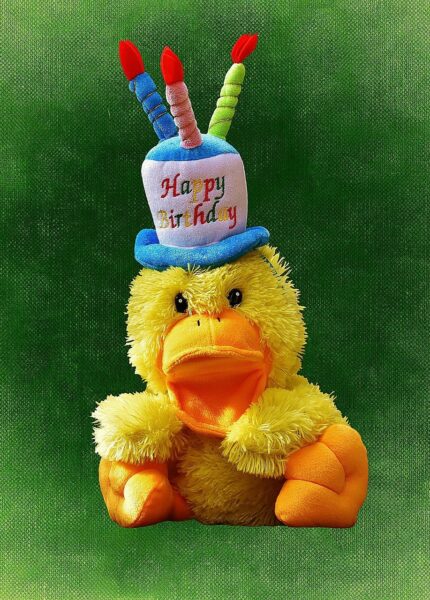 entdecken sie niedliche pl&uuml;schtiere zum geburtstag &ndash; das perfekte geschenk f&uuml;r kinder und sammler, das freude und kuschelspa&szlig; garantiert.