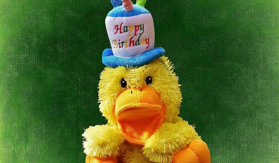 entdecken sie niedliche pl&uuml;schtiere zum geburtstag &ndash; das perfekte geschenk f&uuml;r kinder und sammler, das freude und kuschelspa&szlig; garantiert.